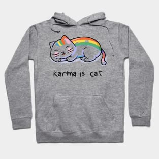 Karma Is A Cat Hoodie